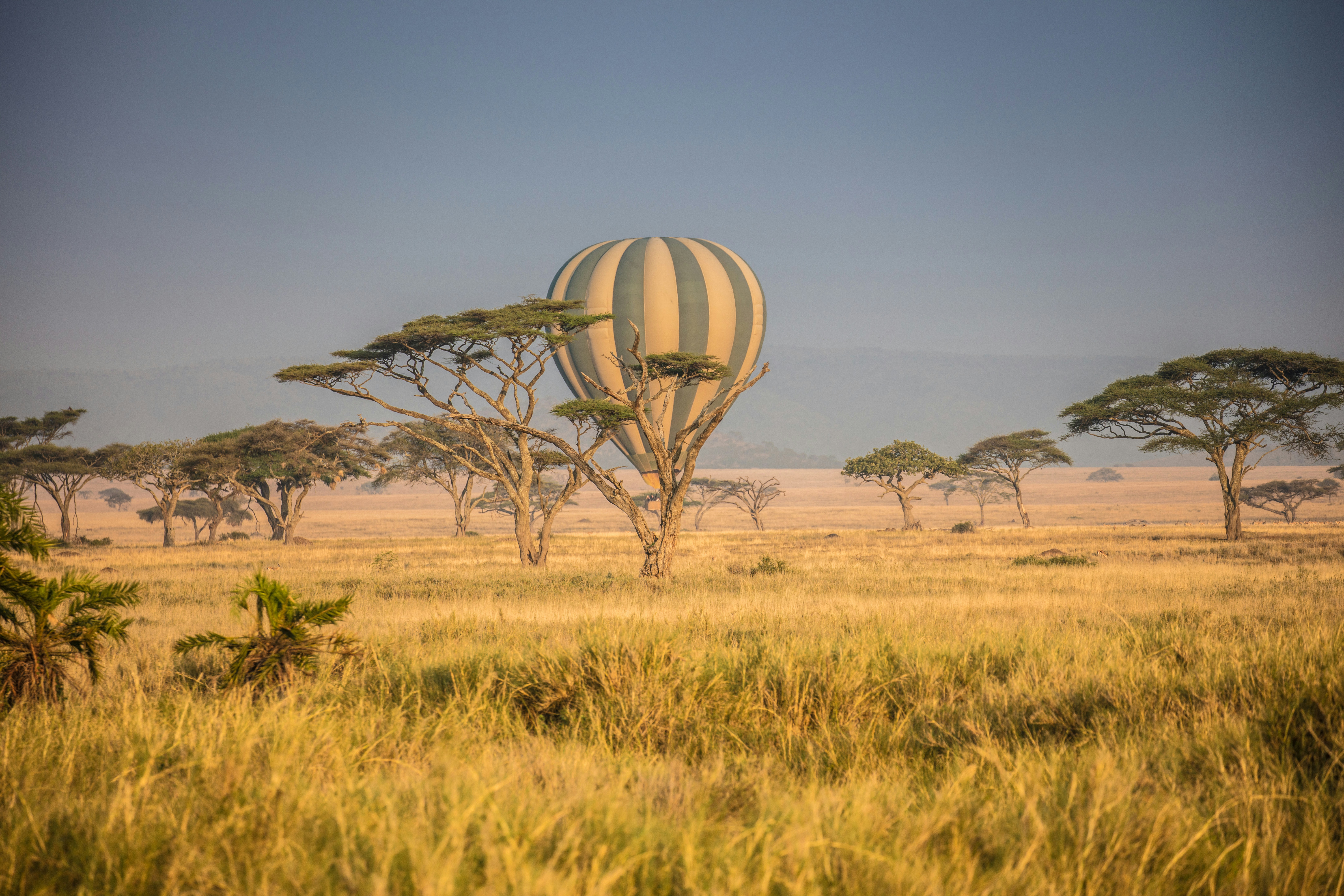 Serengeti Northern Circuit