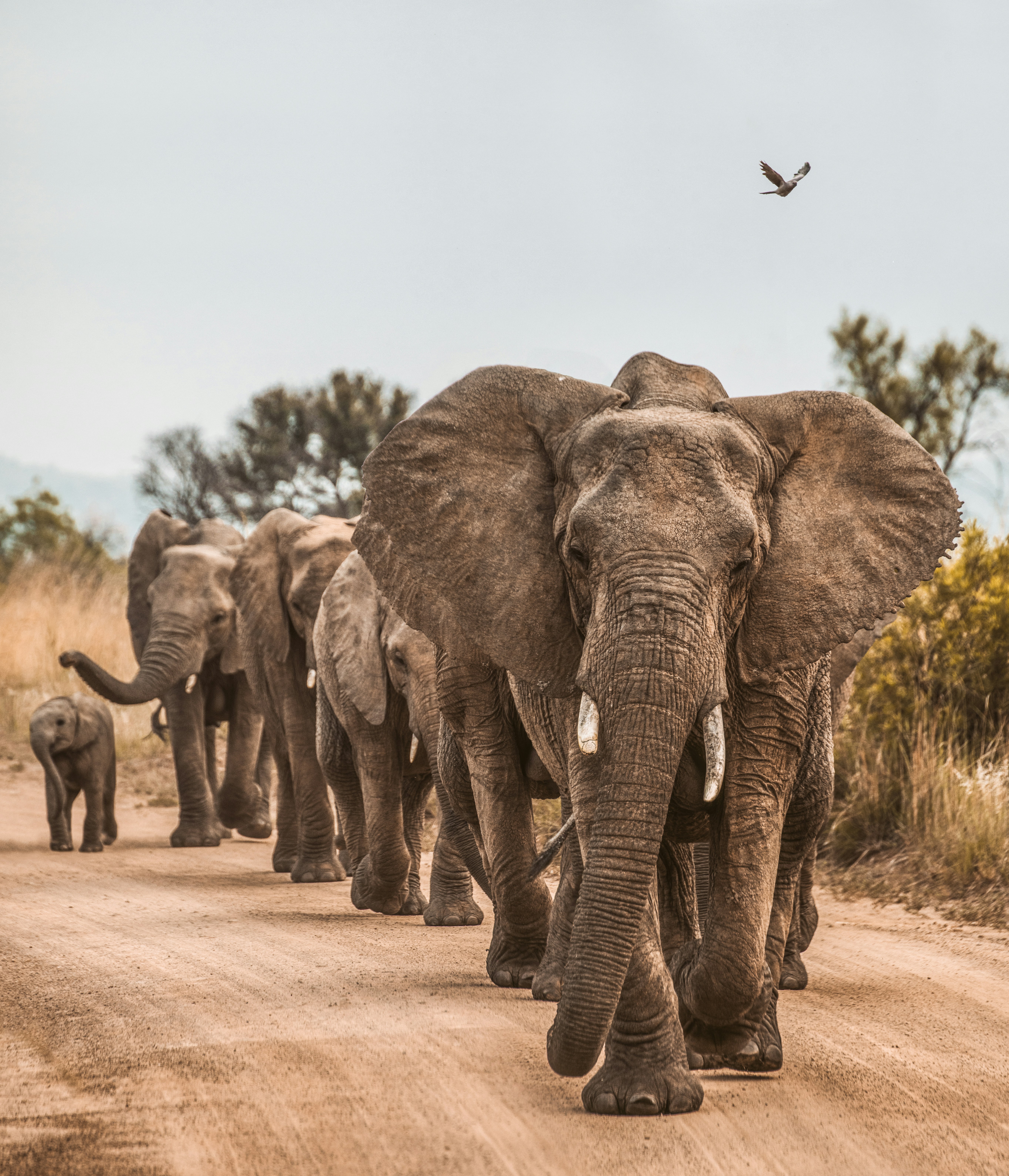 Remote African landscape